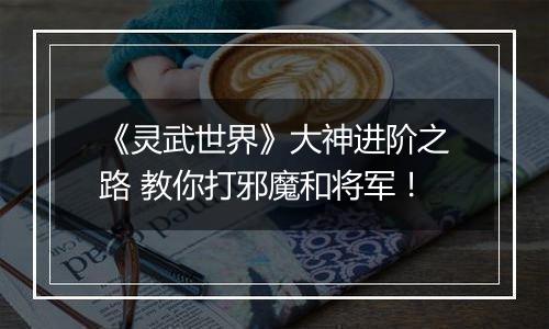 《灵武世界》大神进阶之路 教你打邪魔和将军！