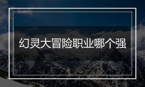 幻灵大冒险职业哪个强