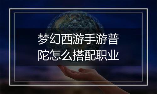 梦幻西游手游普陀怎么搭配职业