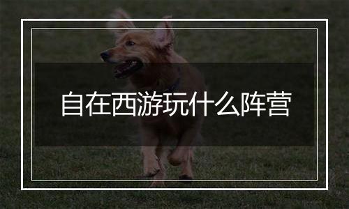 自在西游玩什么阵营