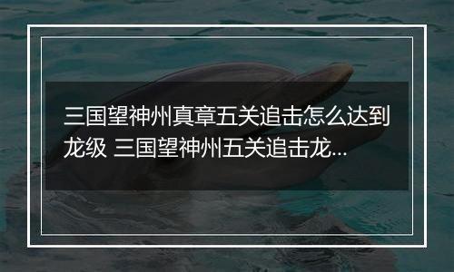 三国望神州真章五关追击怎么达到龙级 三国望神州五关追击龙级攻略