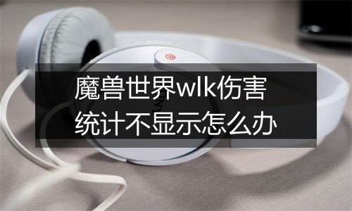 魔兽世界wlk伤害统计不显示怎么办