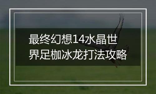 最终幻想14水晶世界足枷冰龙打法攻略