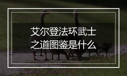 艾尔登法环武士之道图鉴是什么