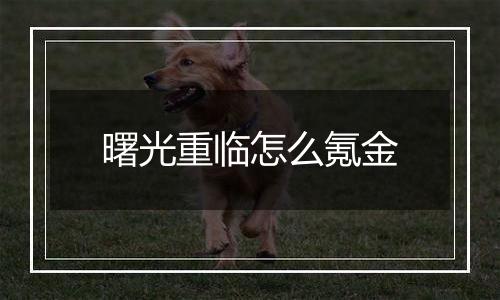 曙光重临怎么氪金