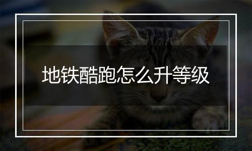 地铁酷跑怎么升等级