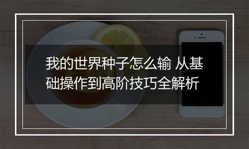 我的世界种子怎么输 从基础操作到高阶技巧全解析