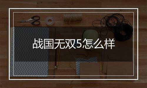 战国无双5怎么样