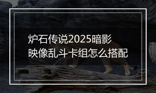 炉石传说2025暗影映像乱斗卡组怎么搭配