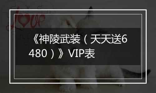 《神陵武装（天天送6480）》VIP表