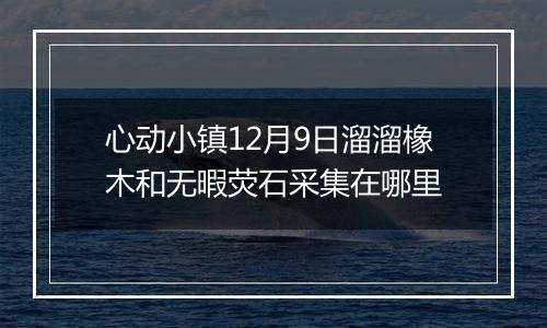 心动小镇12月9日溜溜橡木和无暇荧石采集在哪里