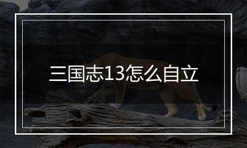 三国志13怎么自立