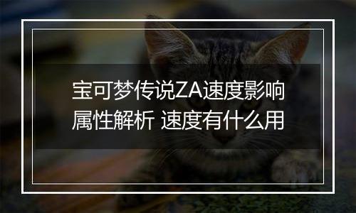 宝可梦传说ZA速度影响属性解析 速度有什么用