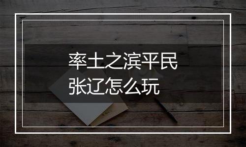 率土之滨平民张辽怎么玩