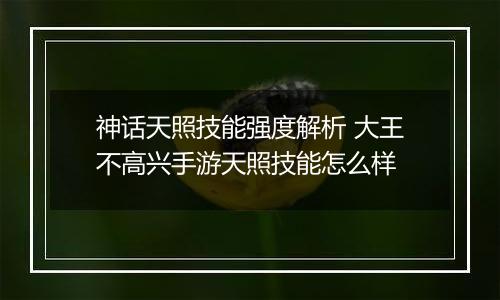 神话天照技能强度解析 大王不高兴手游天照技能怎么样