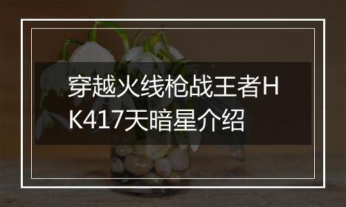 穿越火线枪战王者HK417天暗星介绍