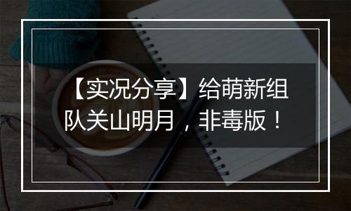 【实况分享】给萌新组队关山明月，非毒版！