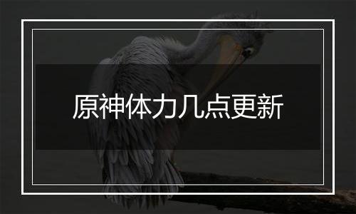 原神体力几点更新