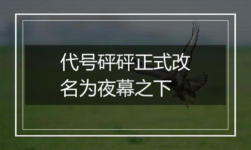 代号砰砰正式改名为夜幕之下