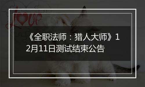 《全职法师：猎人大师》12月11日测试结束公告