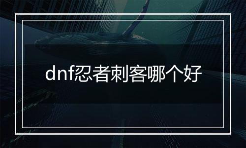 dnf忍者刺客哪个好
