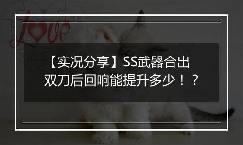 【实况分享】SS武器合出双刀后回响能提升多少！？