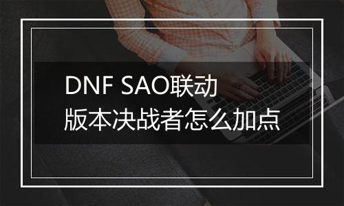 DNF SAO联动版本决战者怎么加点