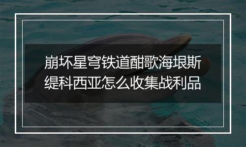 崩坏星穹铁道酣歌海垠斯缇科西亚怎么收集战利品