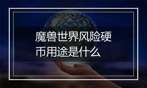 魔兽世界风险硬币用途是什么