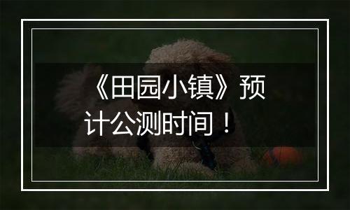 《田园小镇》预计公测时间！