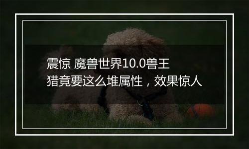 震惊 魔兽世界10.0兽王猎竟要这么堆属性，效果惊人