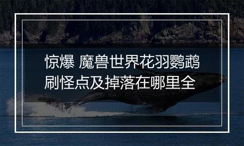 惊爆 魔兽世界花羽鹦鹉刷怪点及掉落在哪里全