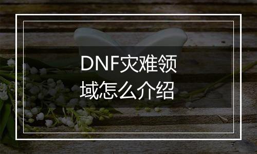 DNF灾难领域怎么介绍
