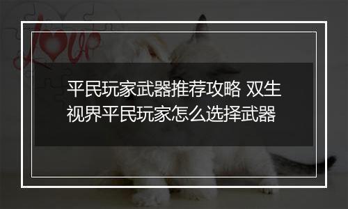 平民玩家武器推荐攻略 双生视界平民玩家怎么选择武器