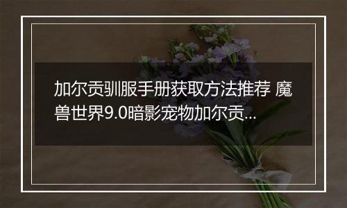 加尔贡驯服手册获取方法推荐 魔兽世界9.0暗影宠物加尔贡获取攻略