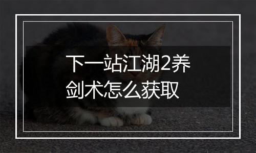 下一站江湖2养剑术怎么获取