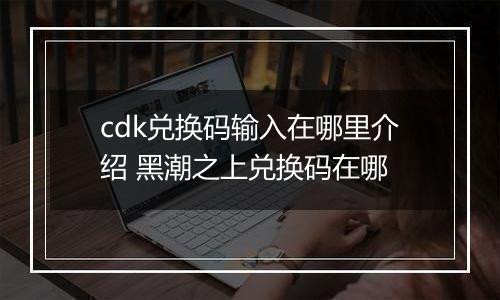 cdk兑换码输入在哪里介绍 黑潮之上兑换码在哪