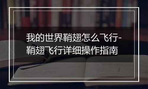 我的世界鞘翅怎么飞行-鞘翅飞行详细操作指南