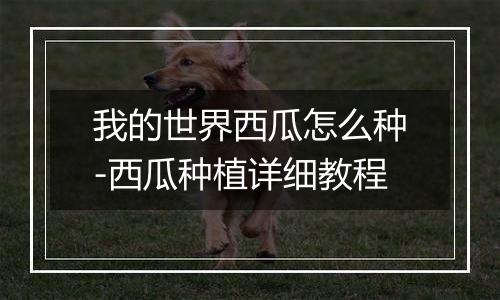 我的世界西瓜怎么种-西瓜种植详细教程