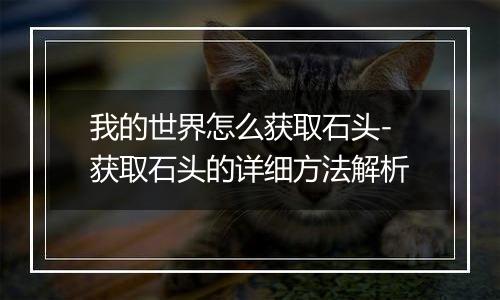 我的世界怎么获取石头-获取石头的详细方法解析