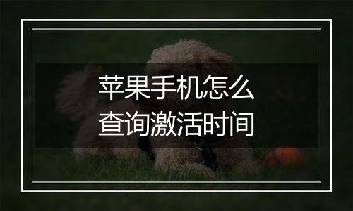 苹果手机怎么查询激活时间