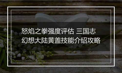 怒焰之拳强度评估 三国志幻想大陆黄盖技能介绍攻略