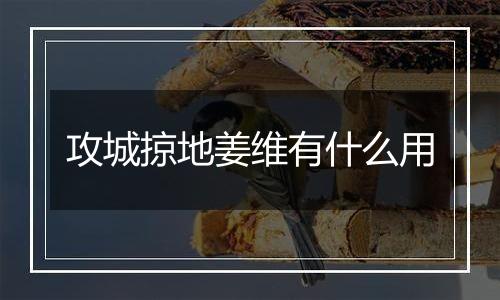 攻城掠地姜维有什么用