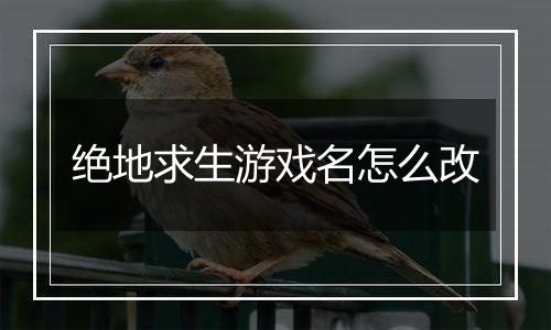 绝地求生游戏名怎么改
