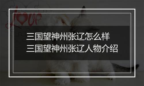 三国望神州张辽怎么样 三国望神州张辽人物介绍